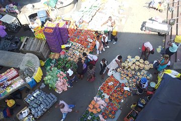 Durban City Tour 