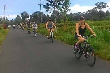 Ubud Cultural and Natural Downhill Cycling Tour 