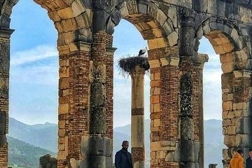 Day Trip To : Volubilis / Moulay Idriss / Mekness