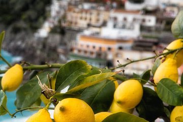 Local product and food tour in Sorrento