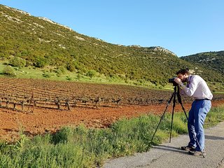Private Mycenae, Anc Nemea & Nemean Winery Experience from Athens