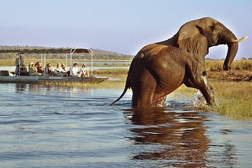 Full Day Chobe Trip - Botswana