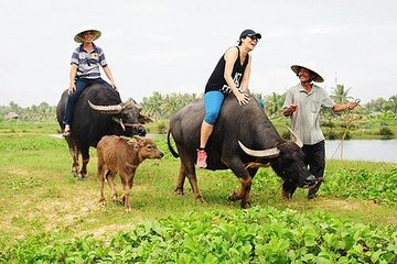 Private Countryside with Buffalo Cart tour - Half Day