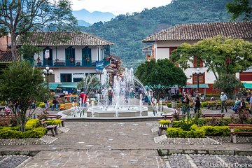 Jardín full-day coffee tour