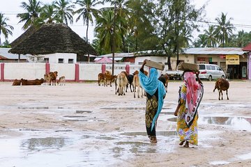 A Half Day Private Nungwi Village Tour