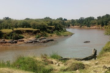 2 days maasai mara joining safari