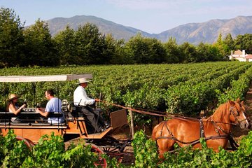 Colchagua Valley Viñas Viu Manet and Montes Alfha