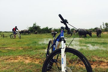 Half Day Countryside Cycling Tour, Siem Reap Private Tours