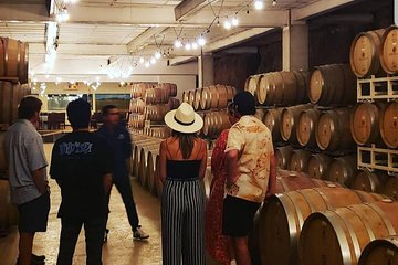 PRIVATE WINETASTING TOUR (Transportation,custom schedule)