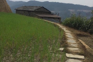 Day Hiking to Beautiful Nepali Village to Explore Nepali Culture From Pokhara