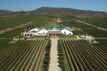 Casas del Bosque vineyard tour