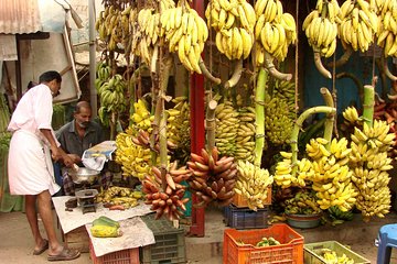 Market Tour of Trivandrum