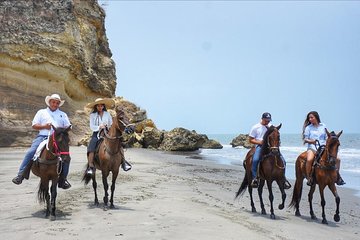 Horseback Riding on the beach with Colombian Paso Show, Cartagena