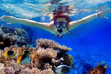 Full Day in a Island Snorkeling Private Tour From Hurghada