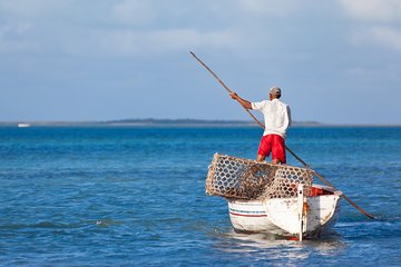 Immerse in the local scene - Mahebourg Private Guided Day Tour (Min. 2 persons)