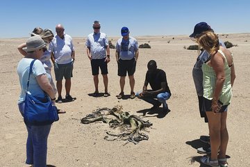 Private Half Day Coast Tour of Walvis Bay and Swakopmund City