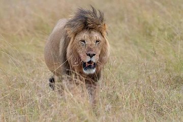 3-Day Serengeti NP & Ngorongoro Crater Safari