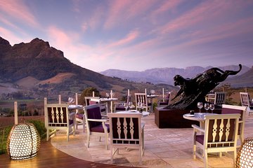 Wine Tasting Day Tour from Cape Town