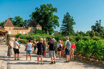 Bordeaux Vineyards Wine Tasting Half-Day Trip