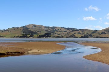 Dunedin City, Wildlife and Larnach Castle