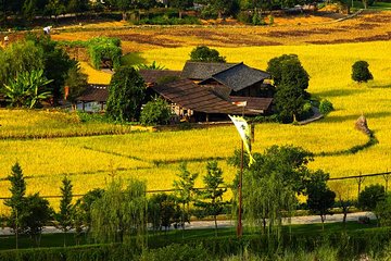 Full-Day Tour to Zhangjiajie Grand Canyon Yellow Dragon Cave