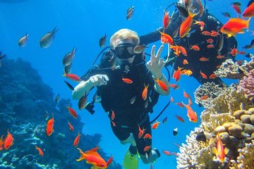 Budget Snorkeling Trip To Giftun Island