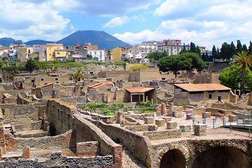 Tour Herculaneum Archaeological Park and Mount Vesuvius