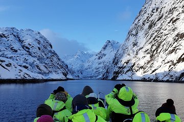 Trollfjord and Sea Eagle Safari Tour from Svolaer