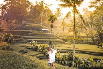 Bali Ubud private Tour with Ubud Bali Driver - FREE WIFI