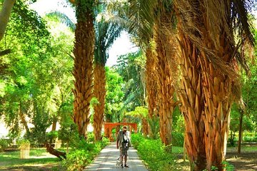 Tour to Nubian Village and Botanical Garden Visit