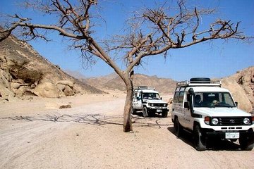 Full-Day Safari Desert Tour in Hurghada by Jeep