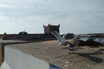 Private Essaouira day trip from Marrakech 