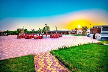 Private Premium Desert Safari with 5 Star Live BBQ Dinner 