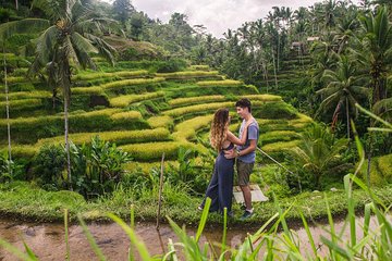 Ubud City Tour II: Monkey Forest, Palace, Art Market, and Rice Terrace