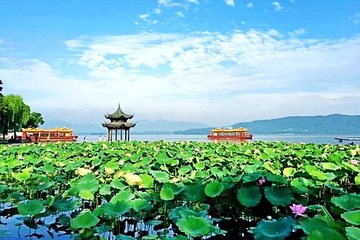 Half-Day Hangzhou Private Flexible Tour with West Lake Night Show VIP Ticket