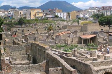 Shore excursion Herculaneum Mt Vesuvius and winery visit