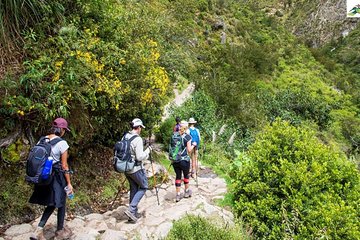 Combo: Entrance to Machupicchu +Guide in Machupicchu for 2 hours