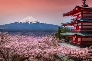 Fuji and Lake Kawaguchi Tour