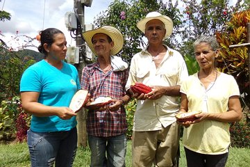 Private tour: Peacebuilding in Antioquia - From Coca Fields to Cocoa!