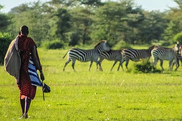 5 days Maasai mara/Nakuru/Naivasha safari