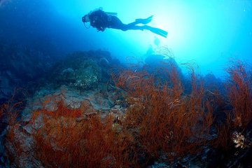 Shore PADI SCUBA Advanced Open Water Course