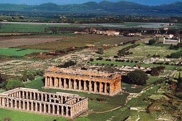 Paestum Greek ruins private tour