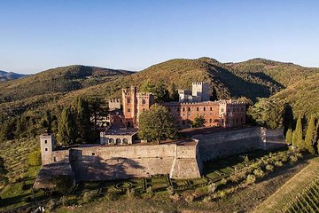 Livorno Port ShorExcursion: Siena San Gimignano Lunch&WineTasting