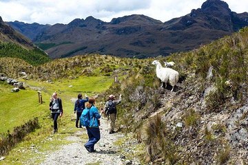 Amazing Cajas National Park Tour from Cuenca