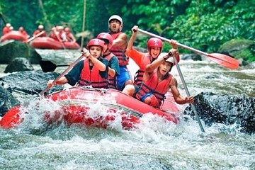 All inclusive : Ayung River White Water Rafting Lunch and Private Transport 