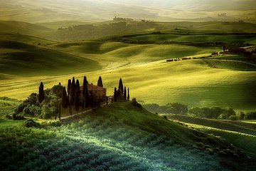 Day trip from Florence: Deluxe Wine Tasting Tour in Montalcino - private tour