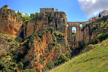 Trip from Malaga to Ronda