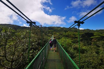 Caminata en el Bosque Lluvioso y tour de café en Monteverde