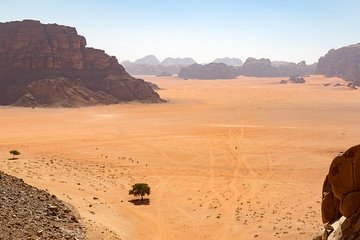 Wadi Rum: Full Day Valley Tour with Lunch