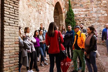 Alcazaba Malaga Guided Tour